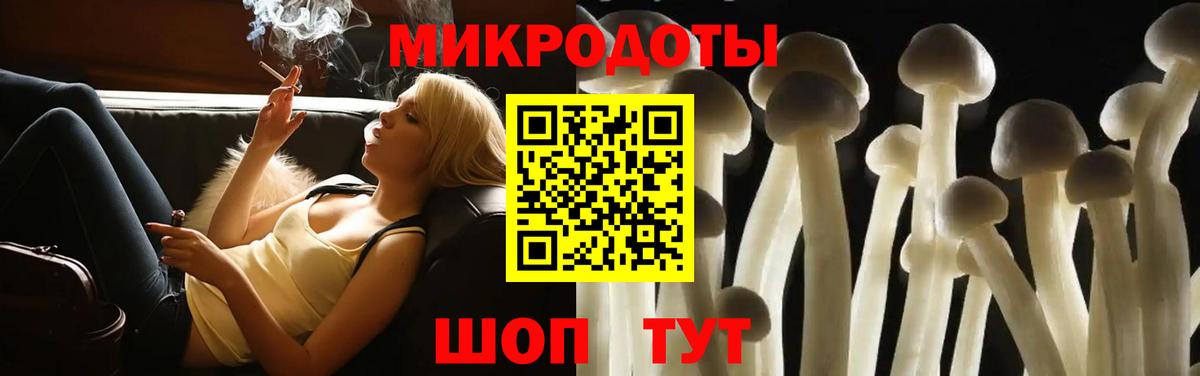 Псилоцибиновые грибы GOLDEN TEACHER  Галлюциногенные грибы Psilocybe  Таганрог  Вход с VPN 